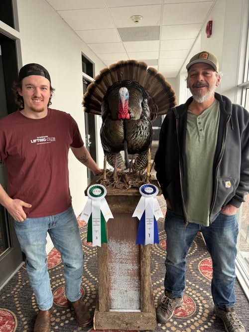 Un dindon, deux trophées : la récolte de Martin Marceau brille en compétition de taxidermie